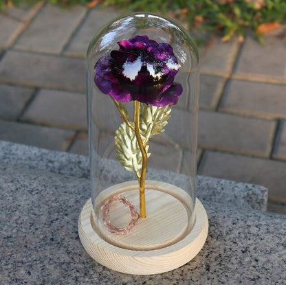 Purple flower with gold stem inside a glass dome on a wooden base outdoors.
