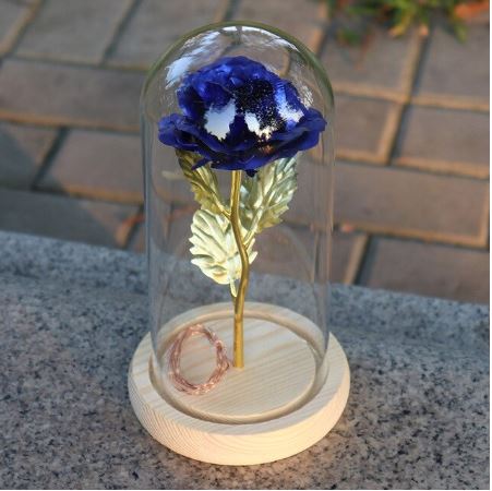 Blue rose with gold accents under a glass dome on a wooden base outdoors.