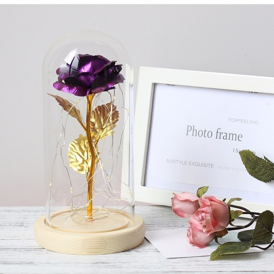 Purple and gold rose in a glass dome on a wooden base with a photo frame and pink roses in the background.