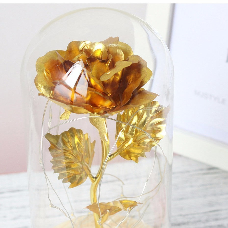 Gold rose inside a glass dome on a white background