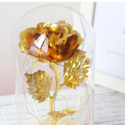 Gold rose inside a glass dome on a white background