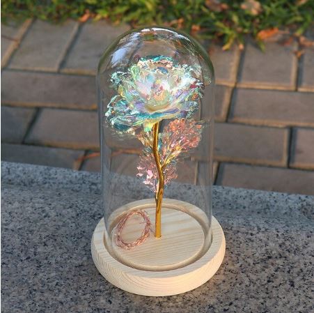 Rose inside a glass dome on a wooden base outdoors